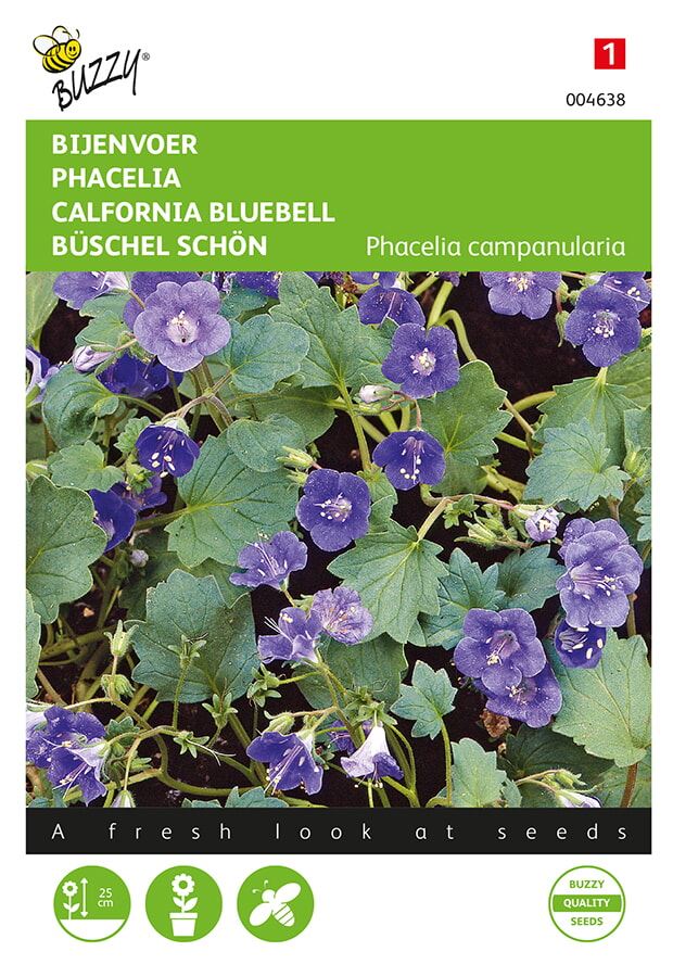 Buzzy-Phacelia-Bijenvoer