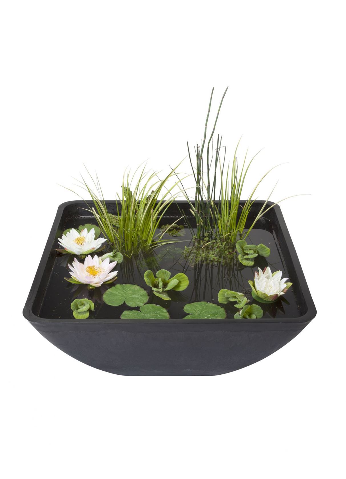 Fountain-Pond-Square-75x75x35-cm-vierkante-terrasvijver-met-fonteinpomp-en-plantmand