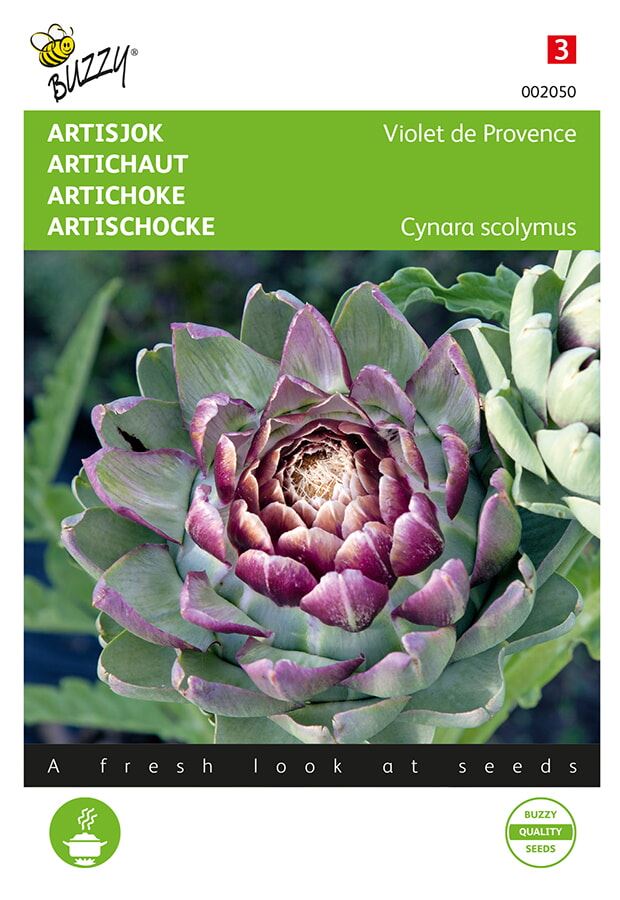 Buzzy-Artisjok-Violet-De-Provence