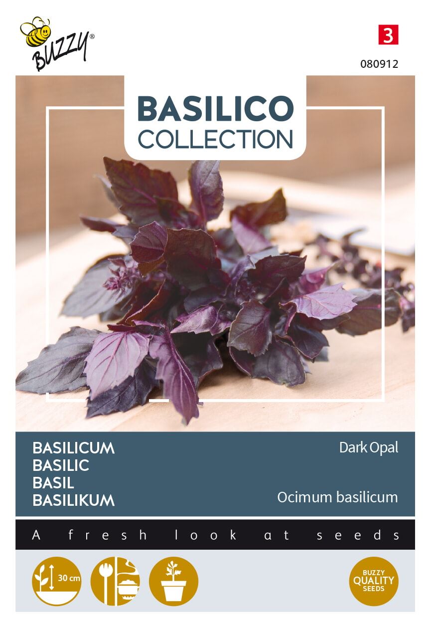 Buzzy-Basilicum-Violetto-Aromatico