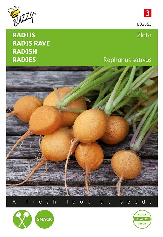 Buzzy-Radijs-Zlata-geel
