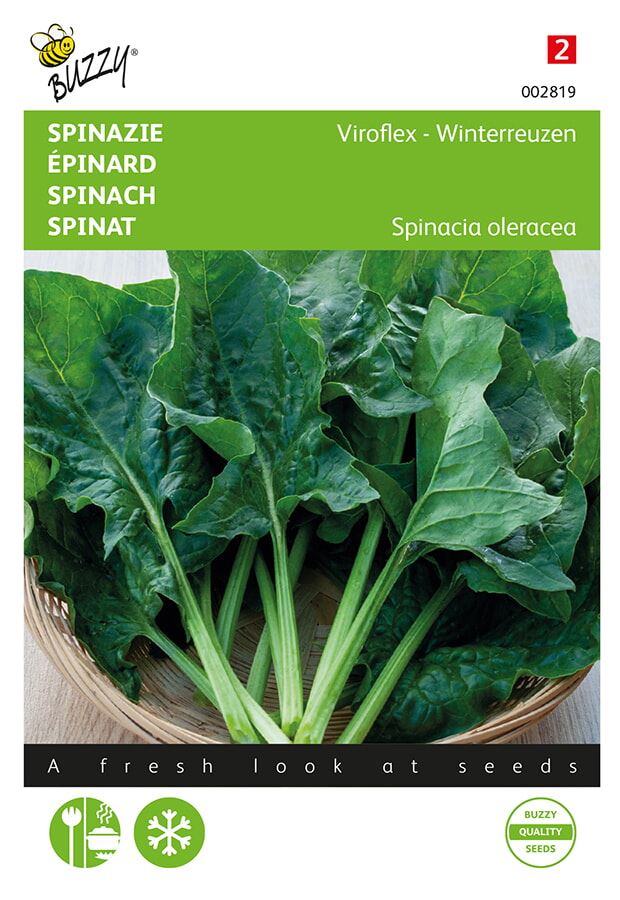 Buzzy® Spinach seeds - Winter Giants - Viroflex