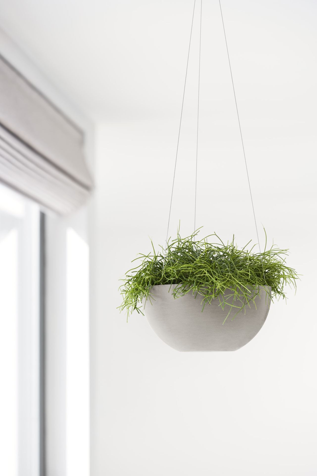 Ecopots-brussels-hanging-taupe-27-cm-H13-cm-incl-waterreservoir