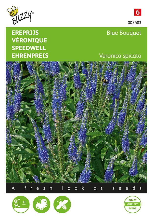 Buzzy-Veronica-Ereprijs-Blue-Bouquet