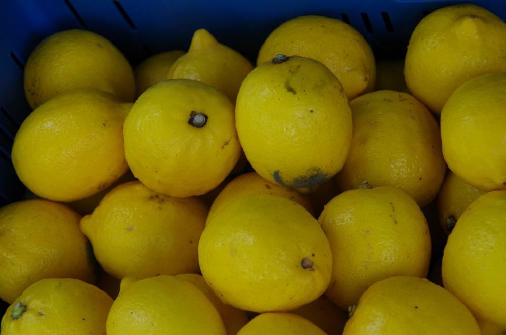 Plantenfiche-Citrus-limon
