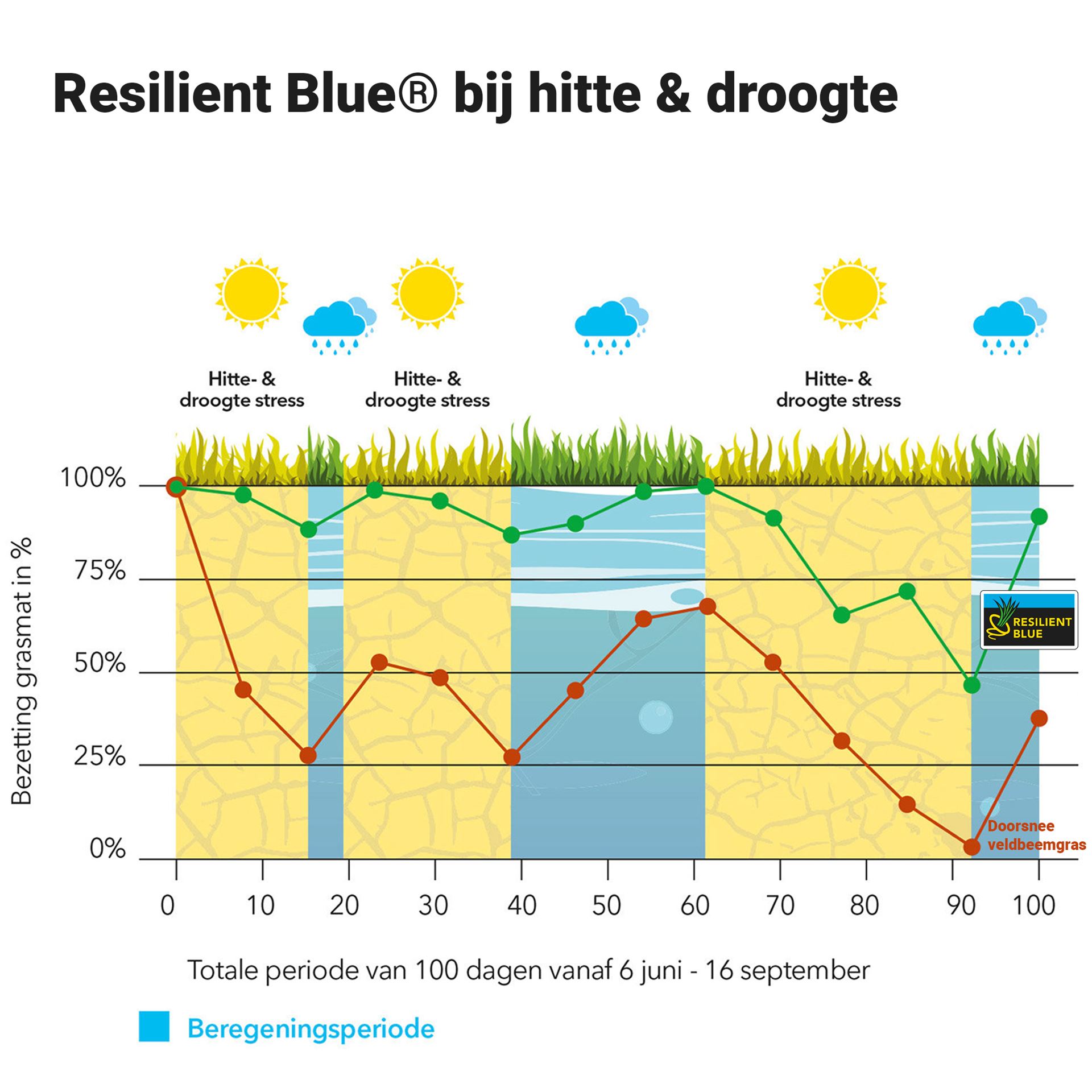Resilient-Blue-Lawn-Tough-easy-5kg