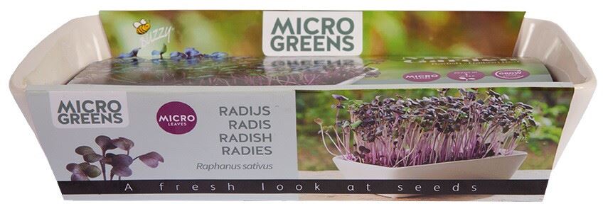 Buzzy-Microgreens-Garden-Dish-Daikon-Radijs-6-