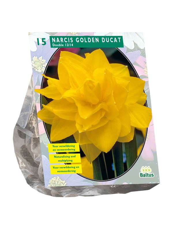 Baltus 'Narcis Golden Ducat' voorjaarsbloeiers - 15 bollen
