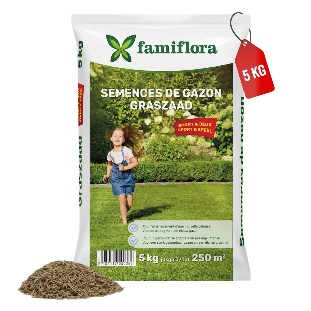 Famiflora grass seed 5kg to 250m² - Play & Sports - for laying new lawn