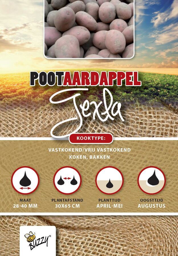 Pootaardappel-Texla-1-kg-6