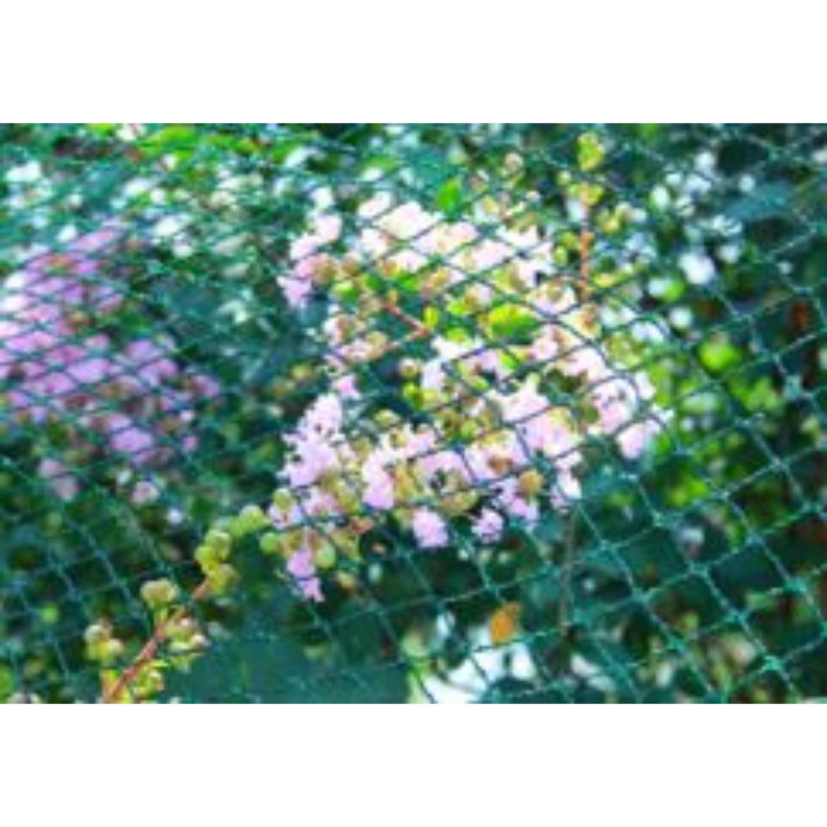 Famiflora vogelnet 400x500cm - 30g/m² - Maaswijdte 20x20mm