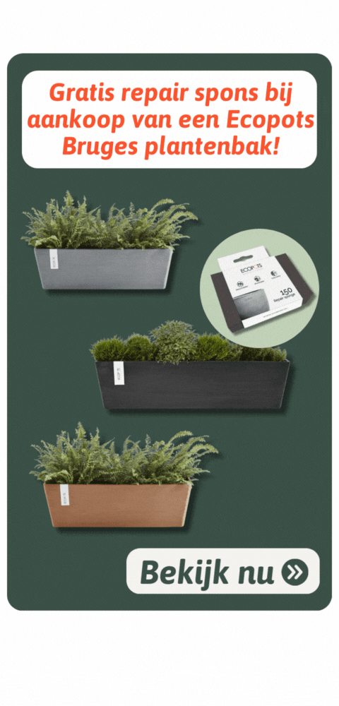 TW_ecopotsrepairspons_BE