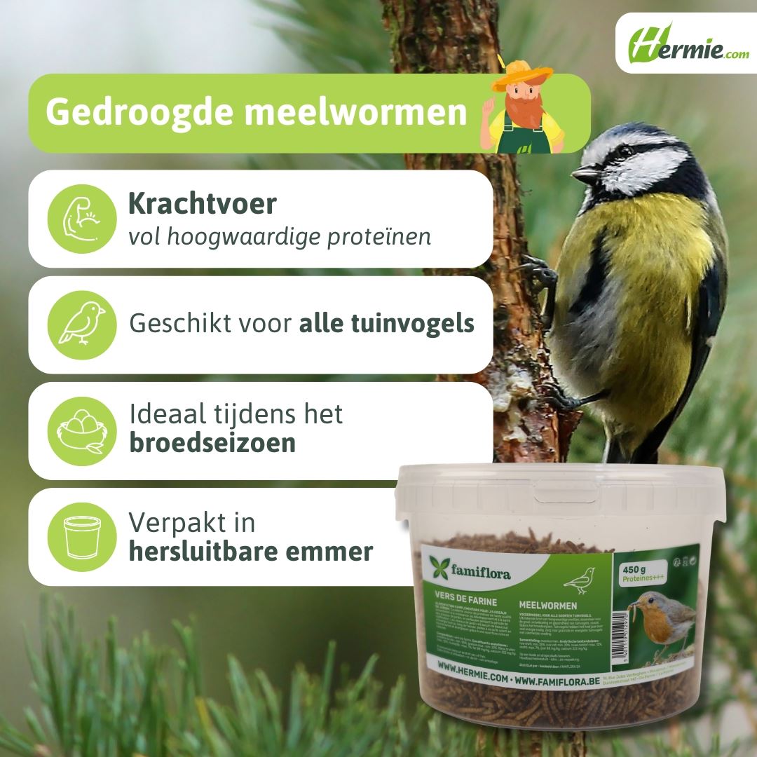 meelwormen-450gr-2-7L