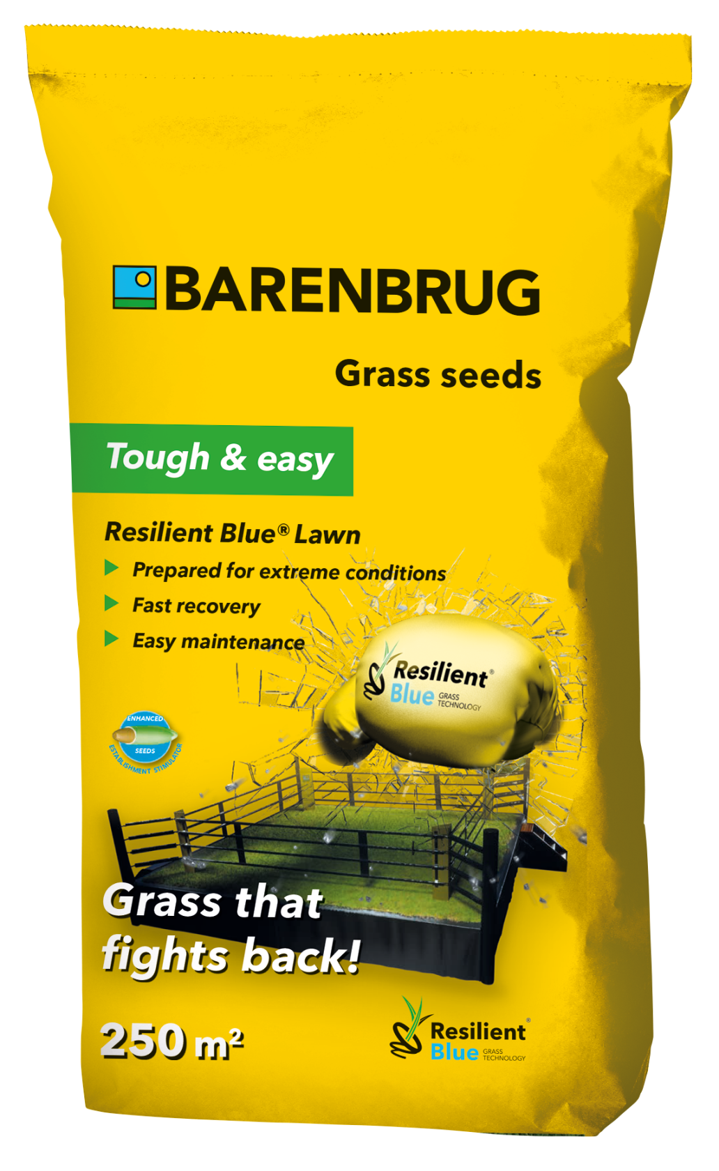 Barenbrug graszaad Resilient Blue Lawn - gras dat terugvecht - 5kg tot 250m²