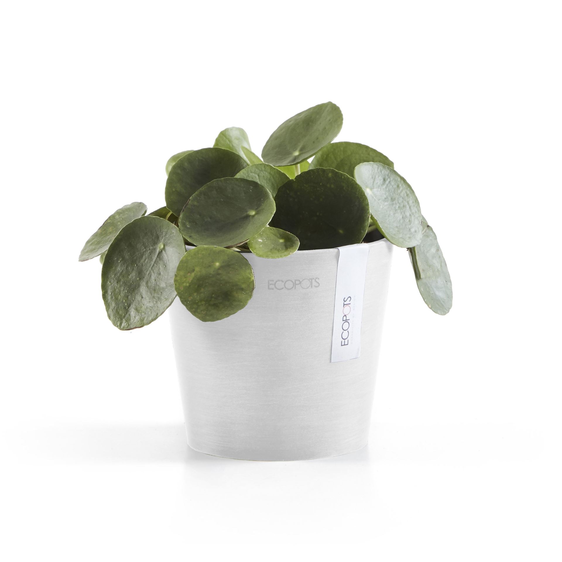 Ecopots-amsterdam-mini-pure-white-13-cm-H11-4-cm