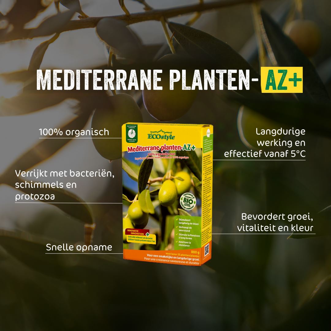 Mediterrane-planten-AZ-800-g