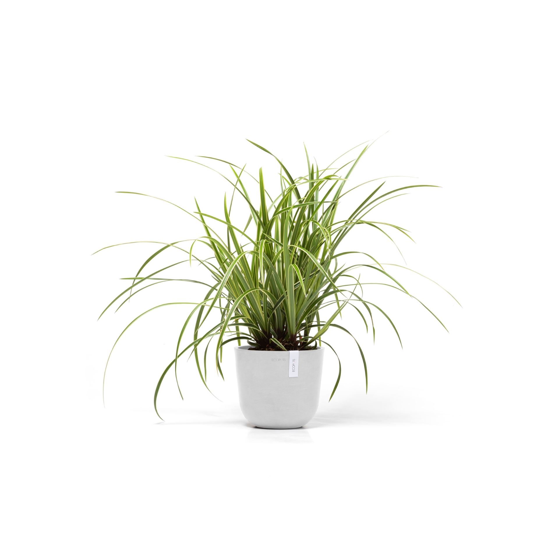 Ecopots-oslo-mini-pure-white-19-cm-H16-5-cm