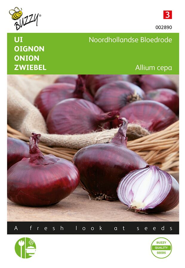 Buzzy-Ui-Noordhollandse-Bloedrode