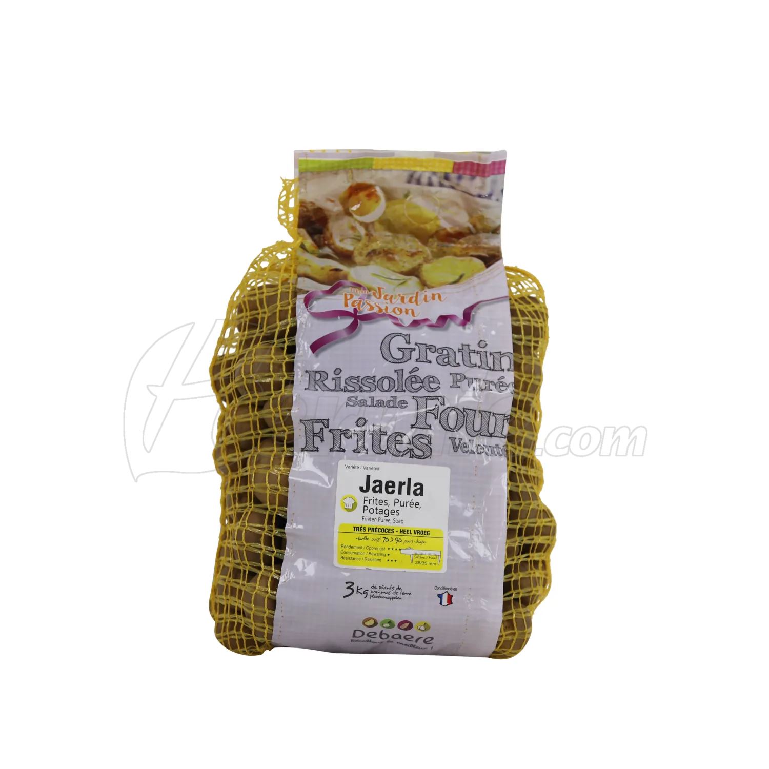 Pootaardappel-Jaerla-zakje-3kg-28-35-Nederland-