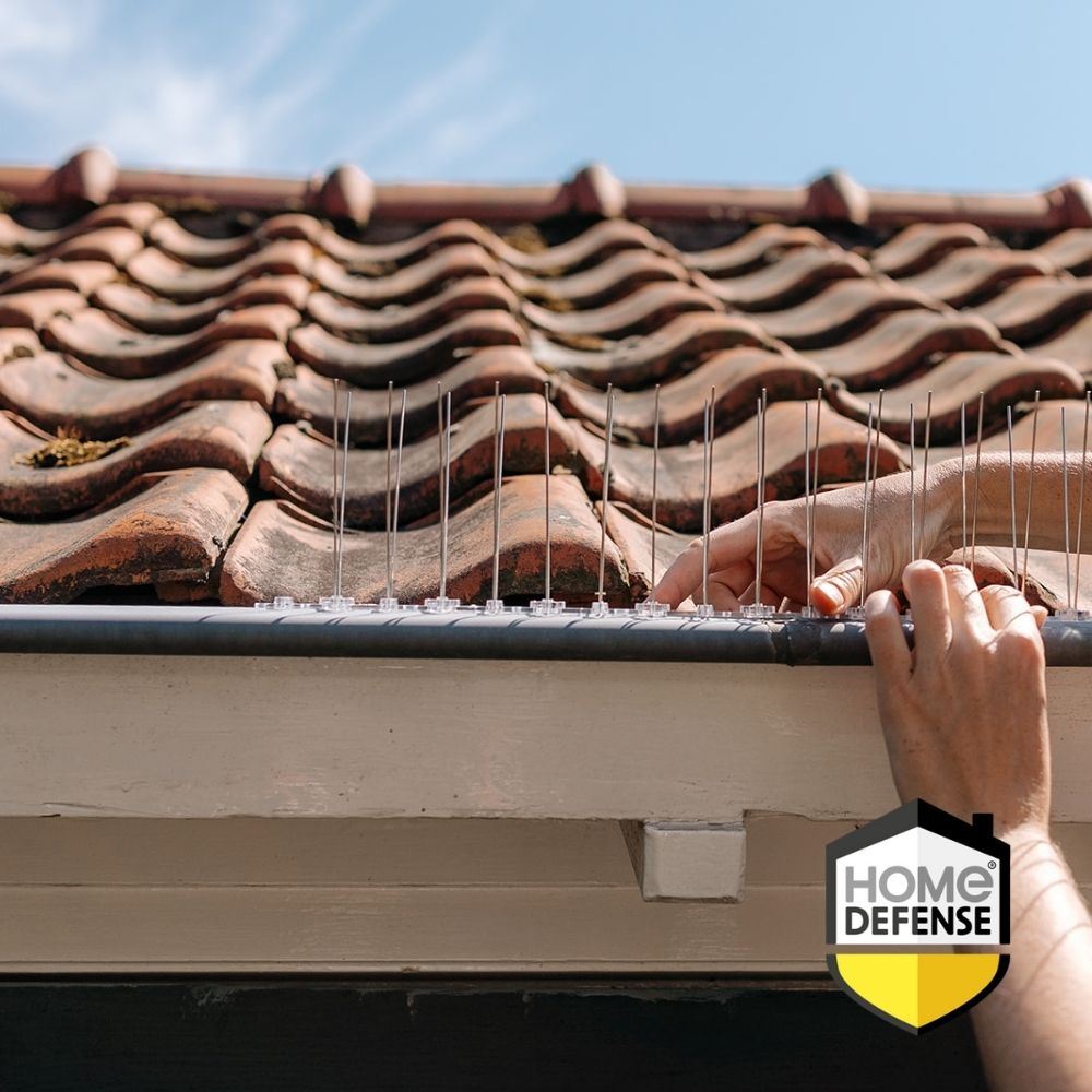 HD-Duivenpinnen-2-5-meter-5-x-50-cm-