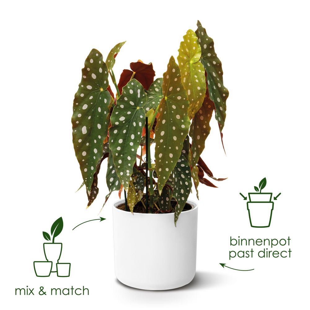 Bloempot-b-for-soft-rond-30cm-antraciet