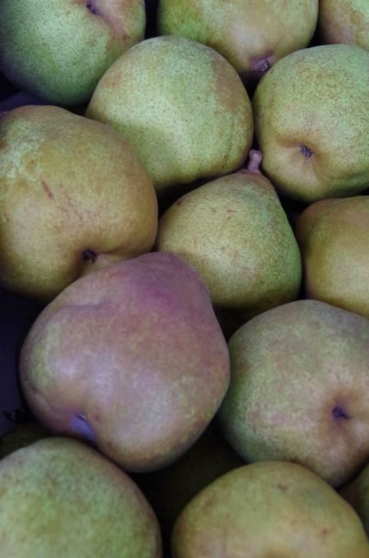 Plantenfiche-Pyrus-communis-Doyenne-du-Comice-Comice-Vereins-Dechantsbirne-