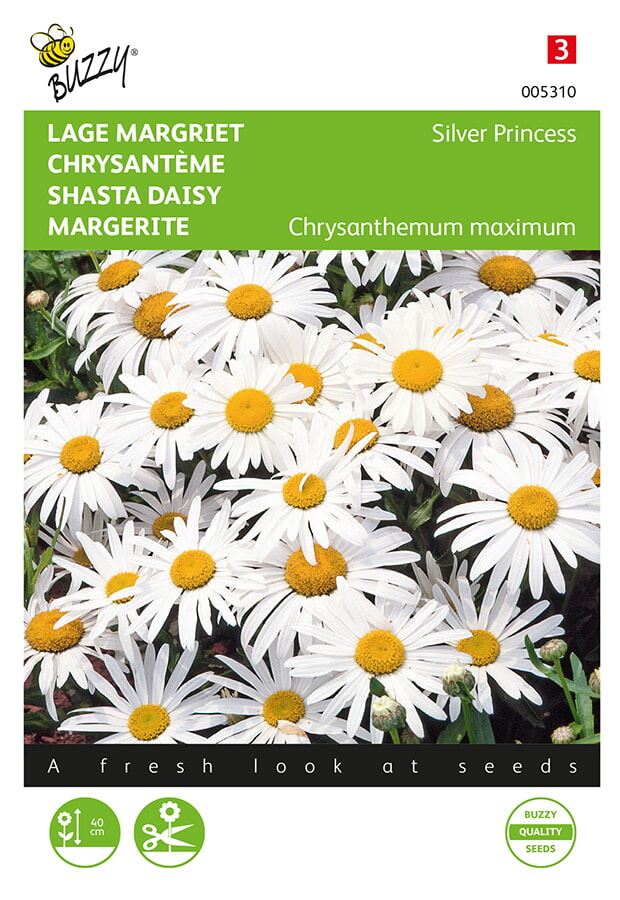 Buzzy® Lage Margriet zaden - Silver Princess