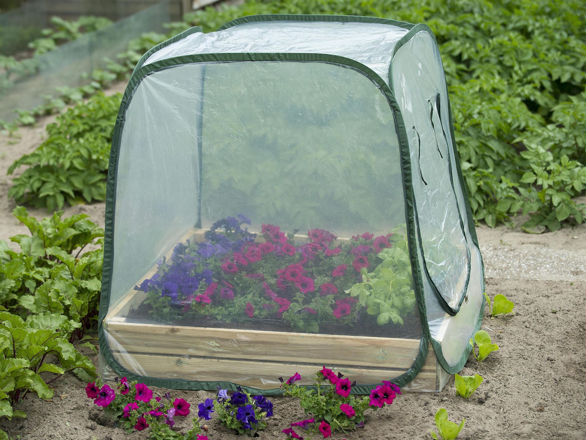Tuinkas-voor-vierkante-metertuin-pop-up-H100x100x100cm