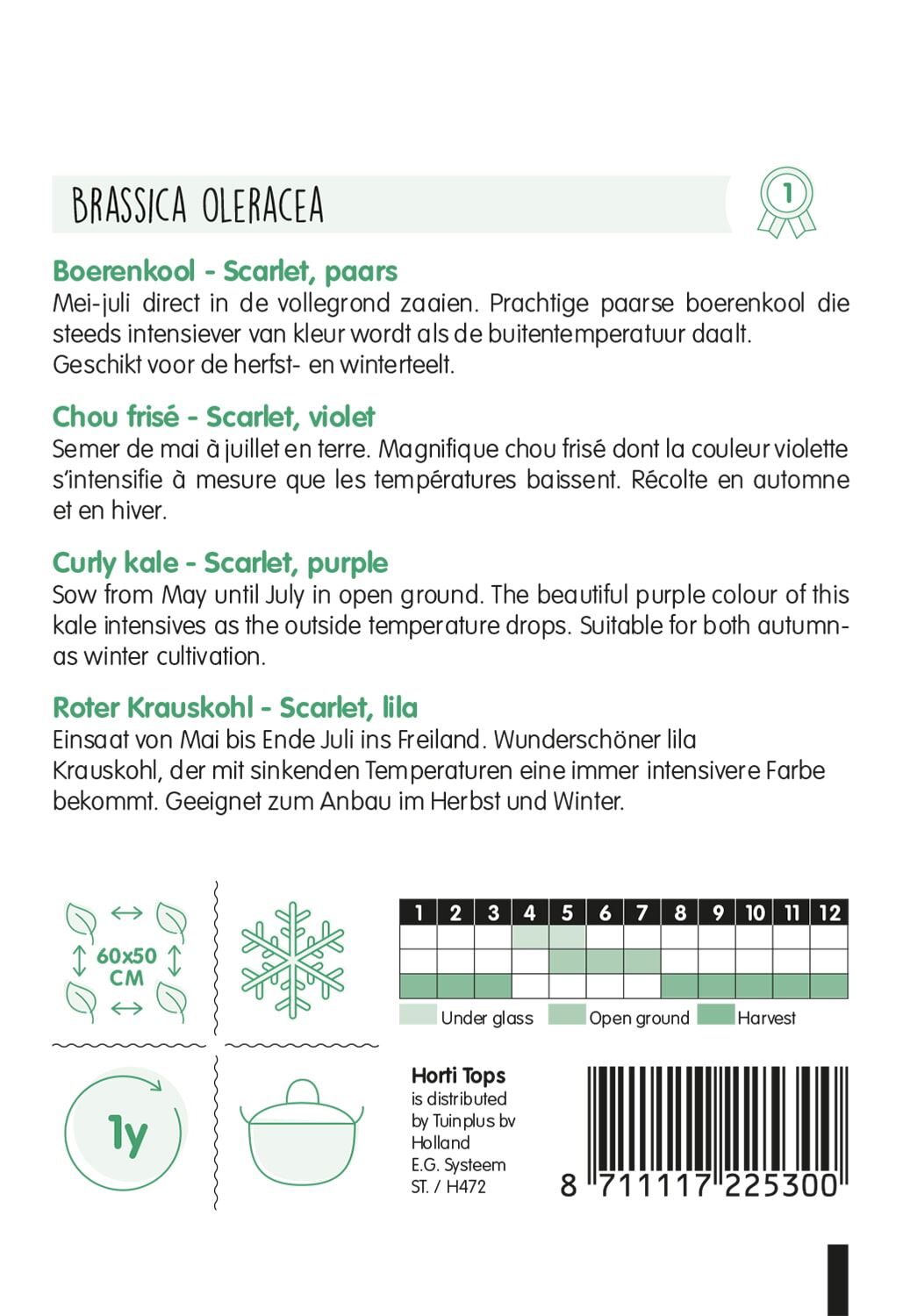 HTS-Boerenkool-Scarlet-paars