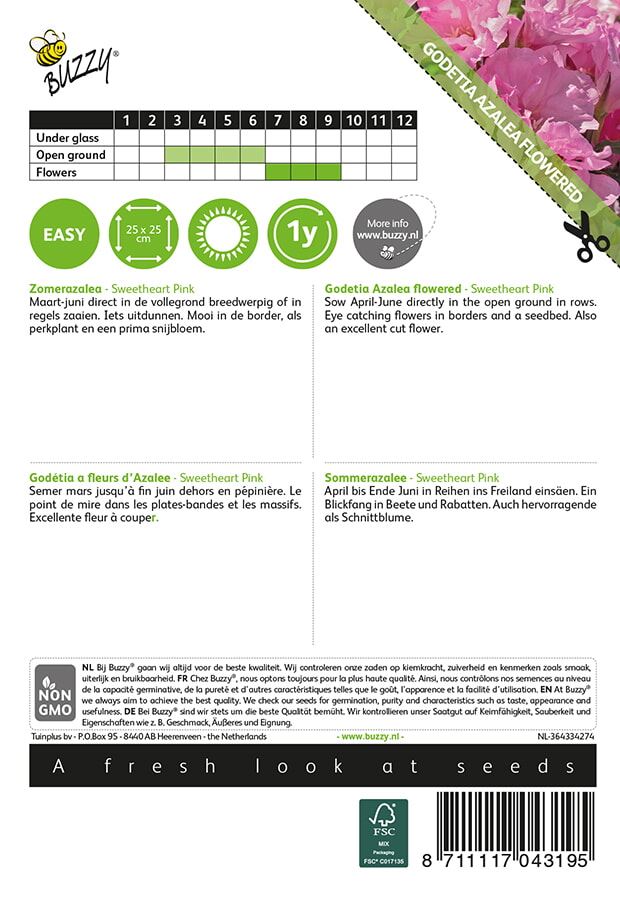 Buzzy-Godetia-Zomer-Azalea-Salmon-Princess