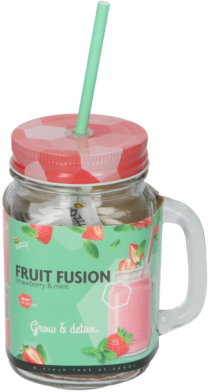 Buzzy-Fruit-Fusion-Aardbei-Munt-6-