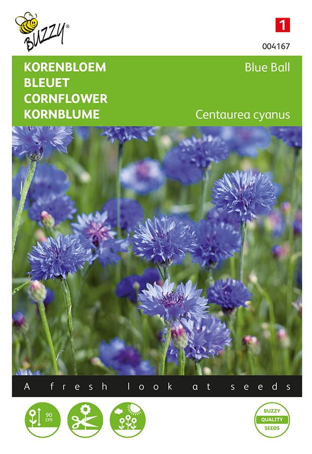 Buzzy-Centaurea-Korenbloem-Blue-Ball-dubbelbloemig