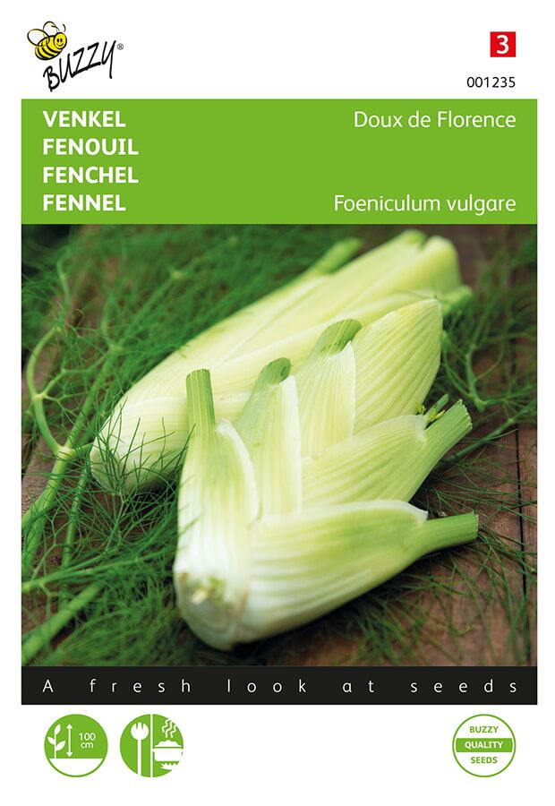 Buzzy® Fennel seeds - The Florence