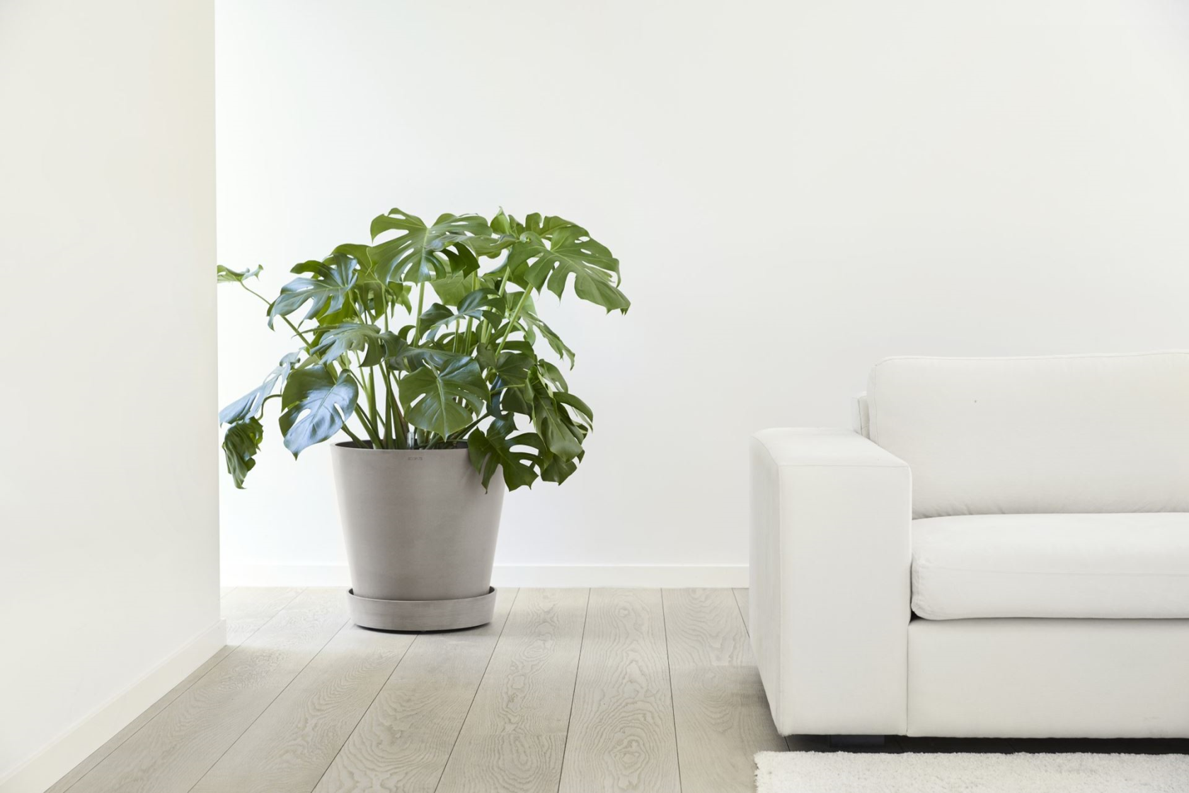 Ecopots onderschotel op wielen - Rond - Taupe - Diameter 41,6 x H9 cm