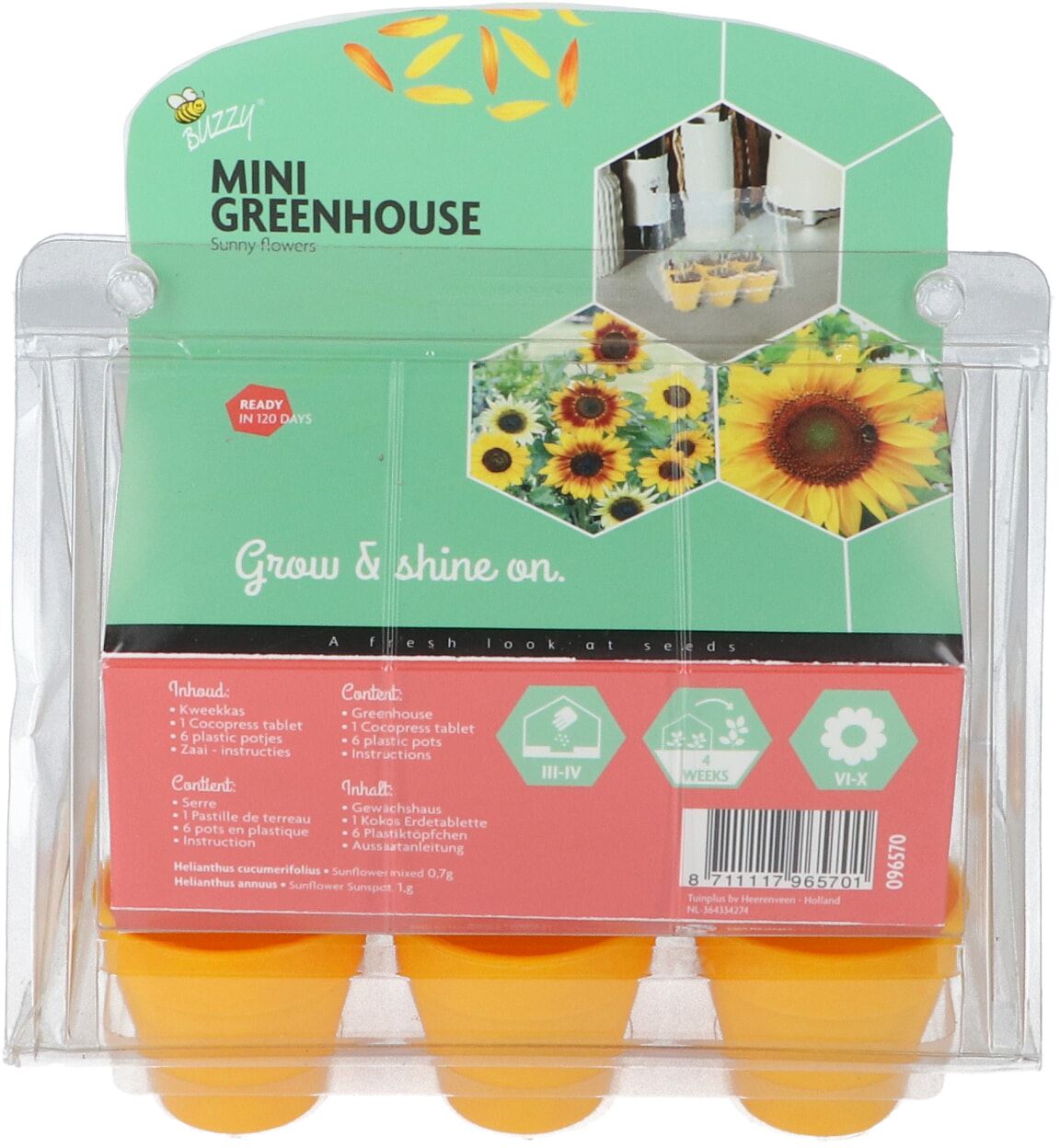 Buzzy-Mini-Greenhouse-Sunny-Flowers-8-