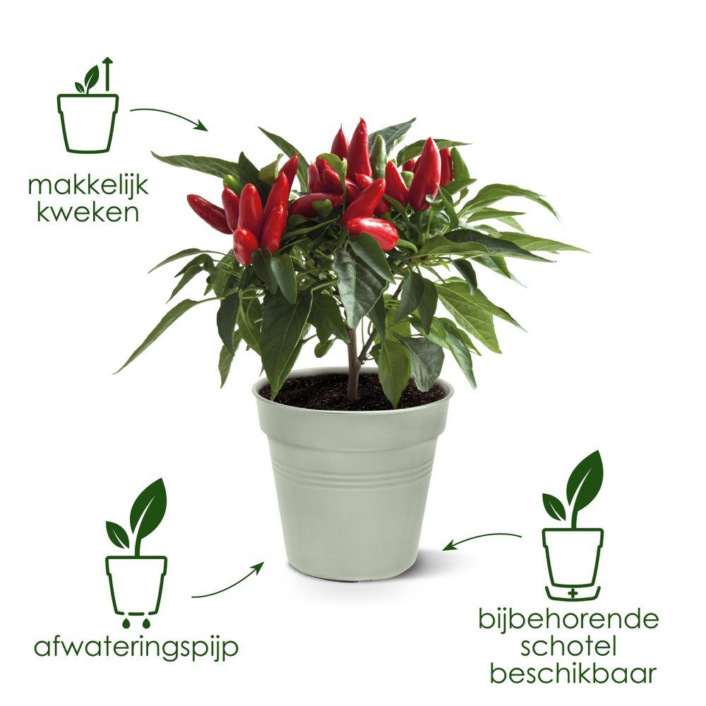 green-basics-kweekpot-30cm-blad-groen