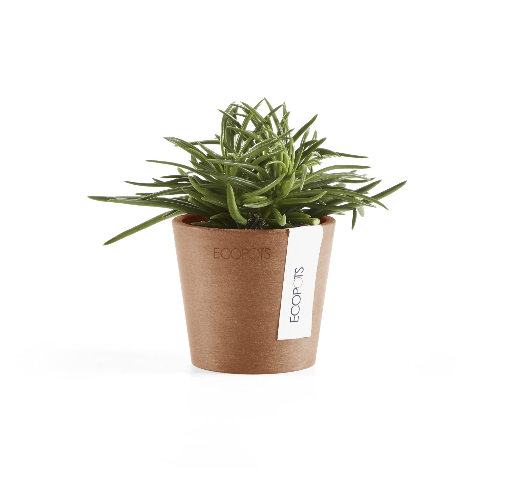 Ecopots-amsterdam-mini-terra-8-cm-H7-cm