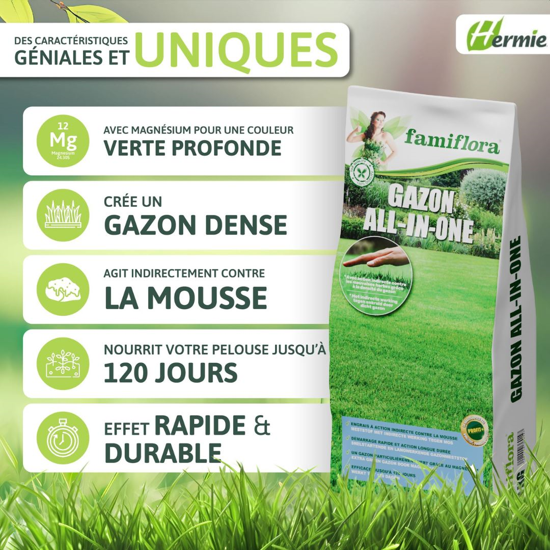 Famiflora lawn fertilizer 20 kg for 400m² - All-in-One