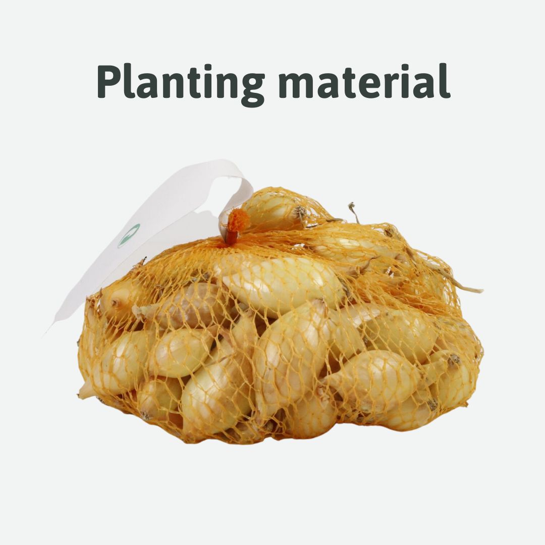 planting material