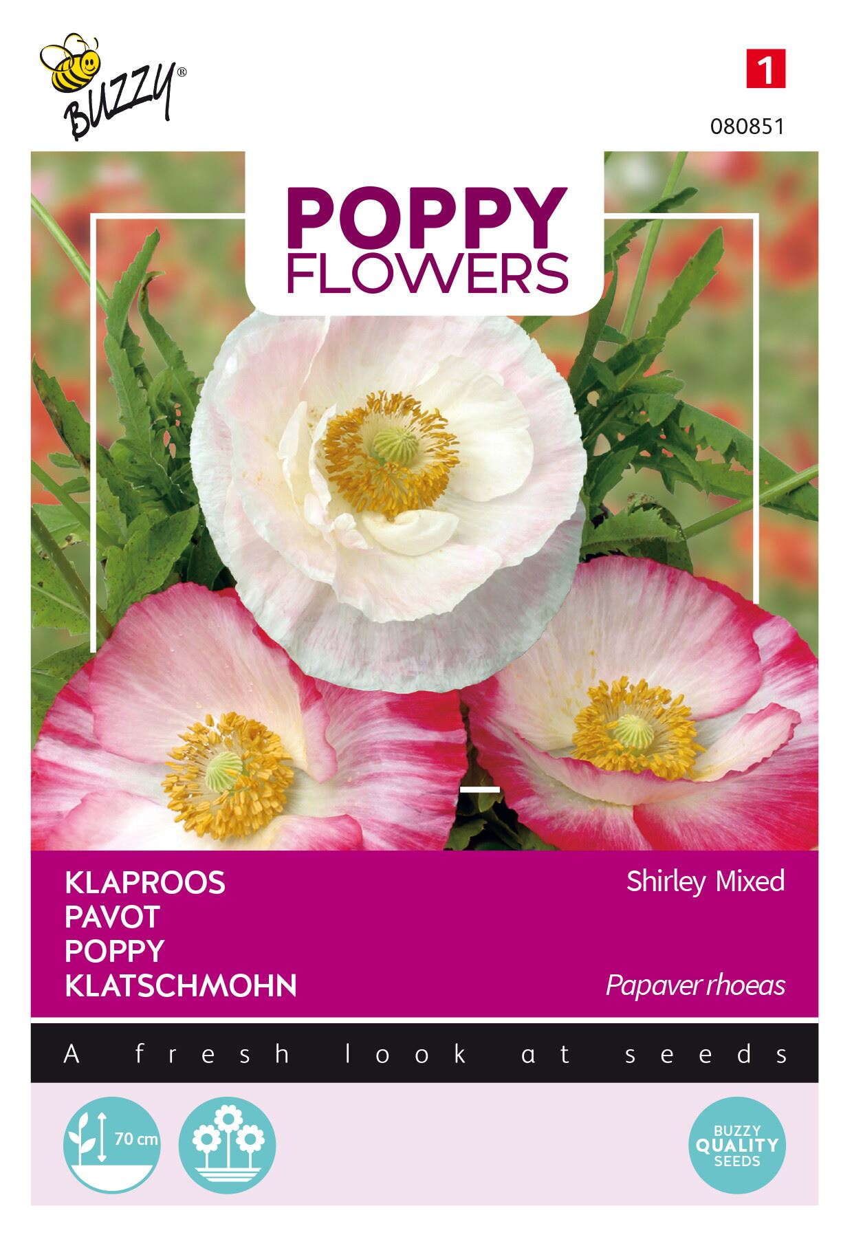 Buzzy-Poppies-of-the-world-Klaproos-Gemengd