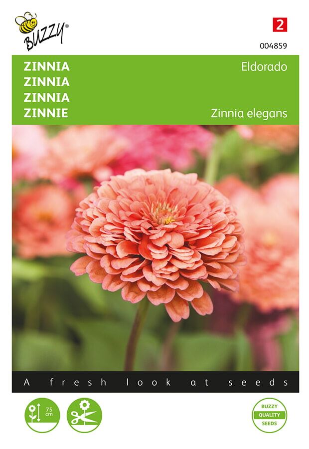 Buzzy® bloemzaden - Zinnia - Eldorado
