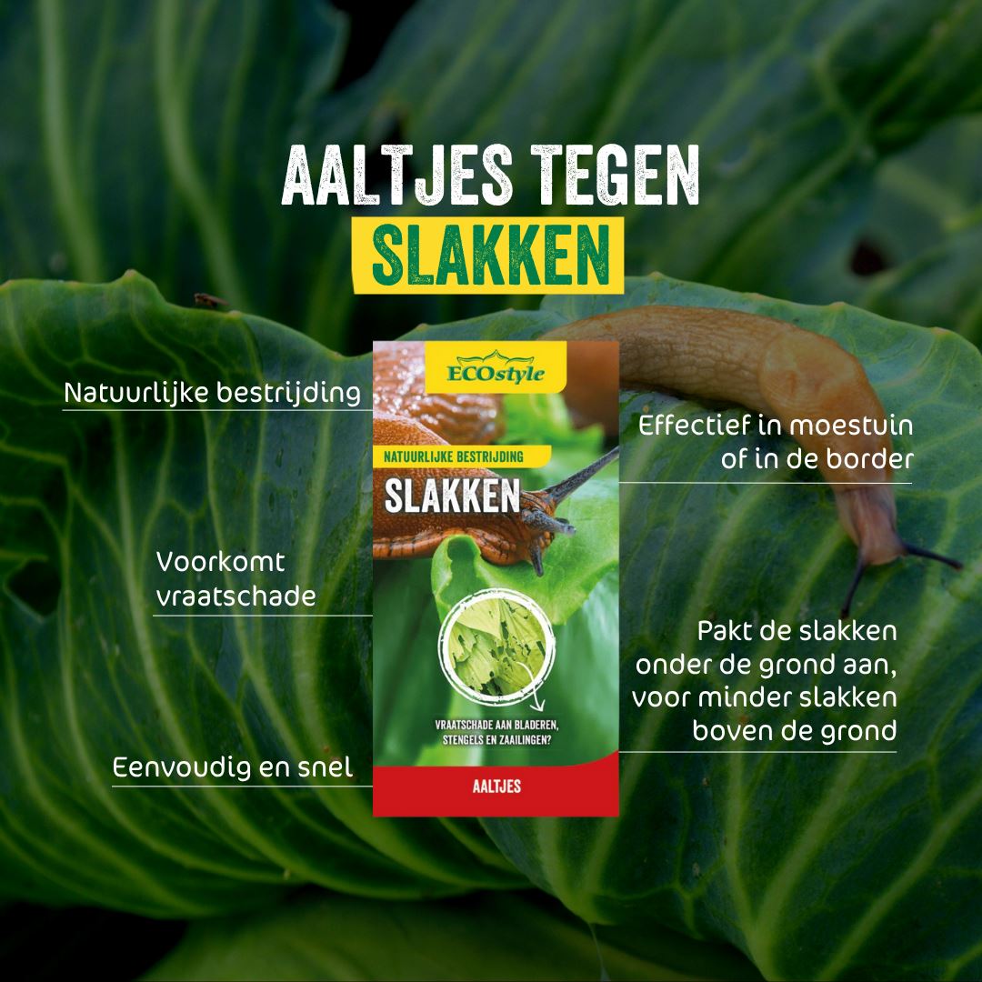 Aaltjes-tegen-slakken-12-mln-40-m-