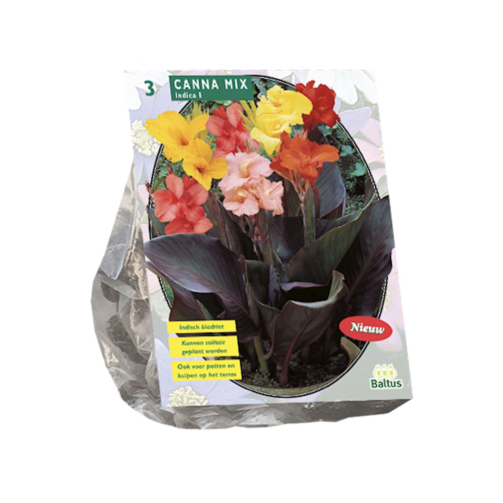 canna-gemengd-per-3