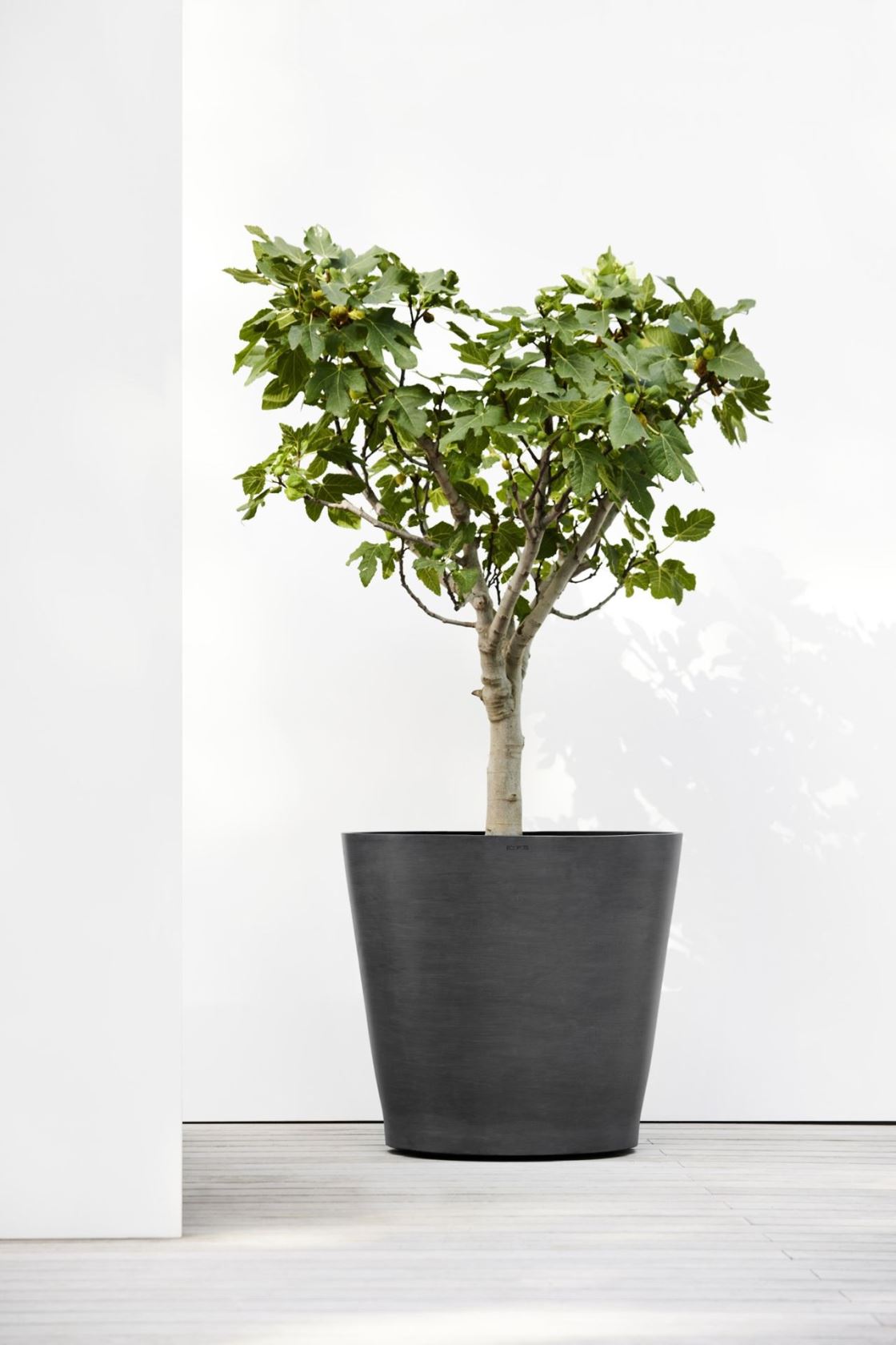 Ecopots-amsterdam-wheels-dark-grey-80-cm-H72-cm-incl-3-wielstops