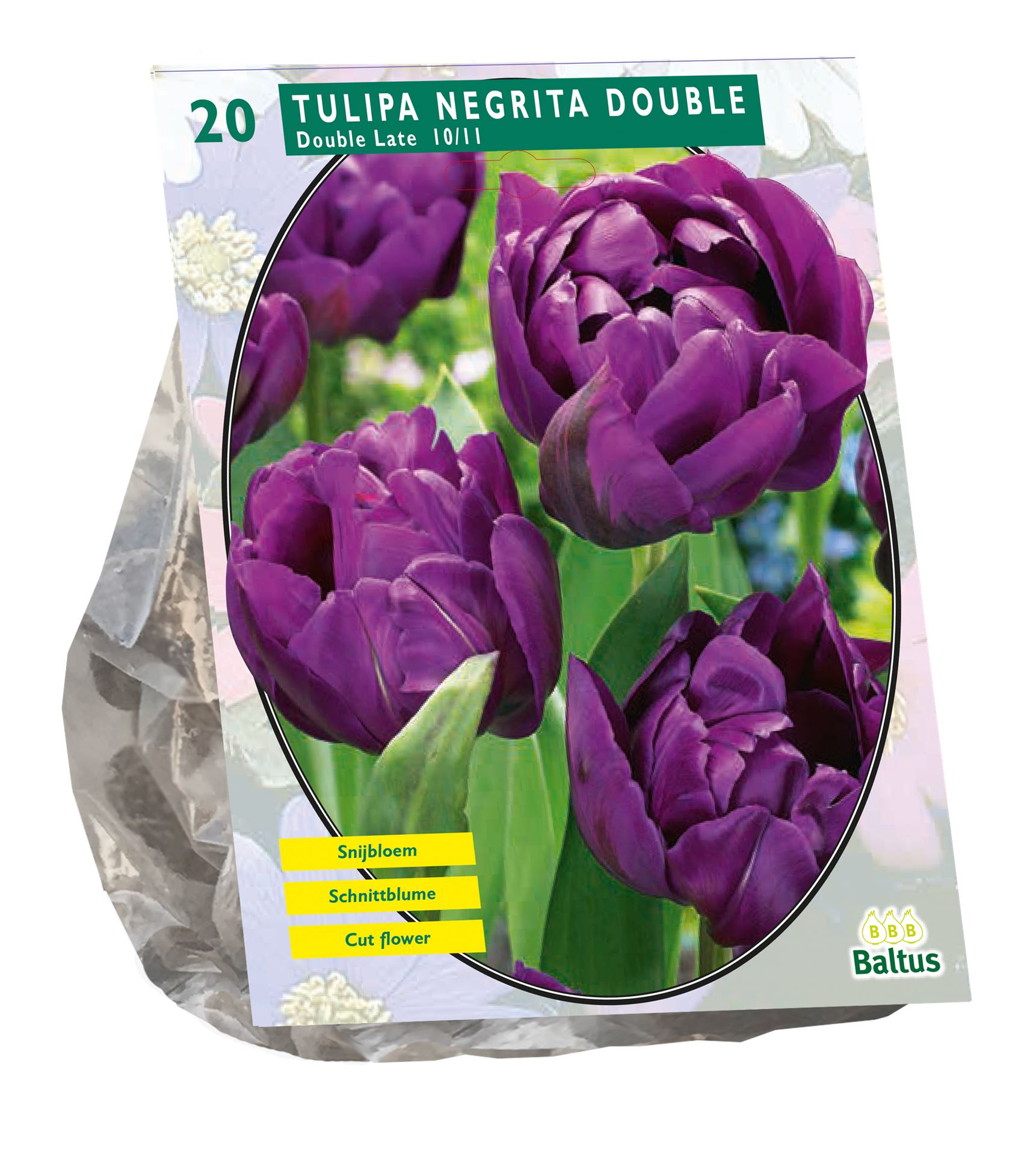 Tulipa-Dubbel-Laat-Negrita-Double-per-20