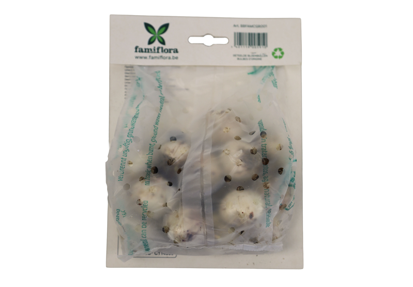 Famiflora Allium Purple Sensation - Voorjaarsbloeiers - 15 bloembollen