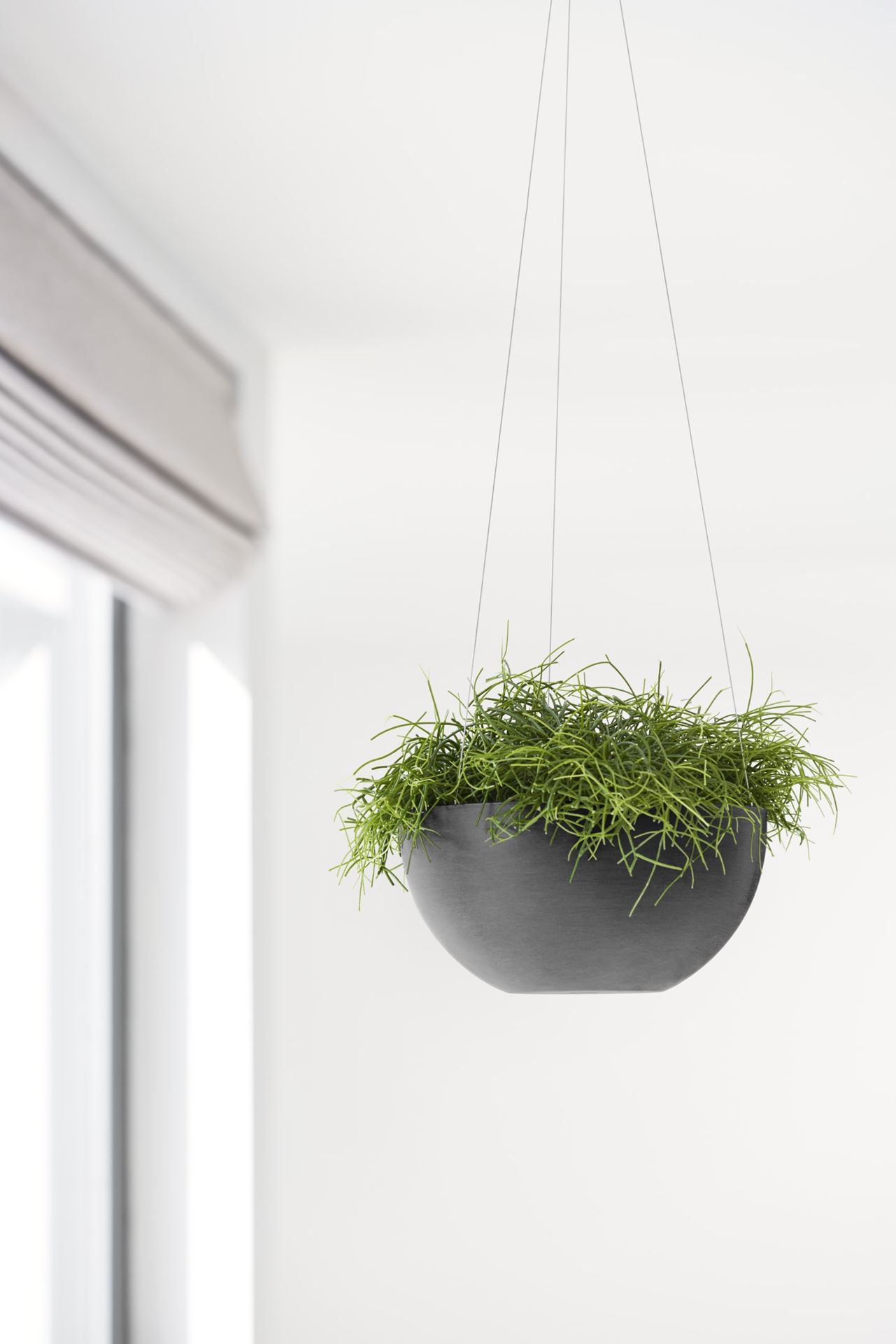 Ecopots-brussels-hanging-dark-grey-27-cm-H13-cm-incl-waterreservoir