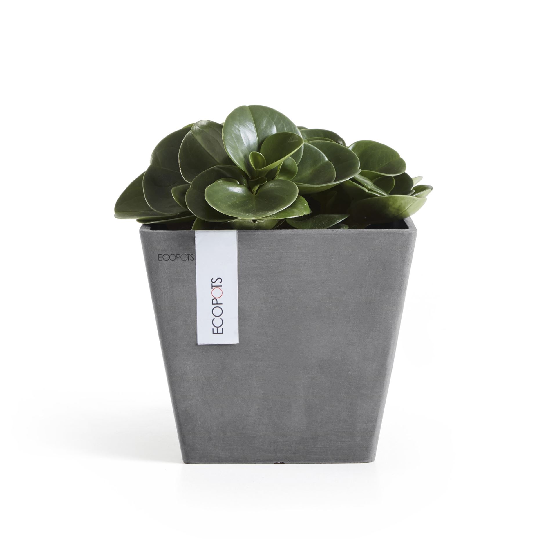 Ecopots-rotterdam-grey-LBH-20x20x17-5-cm