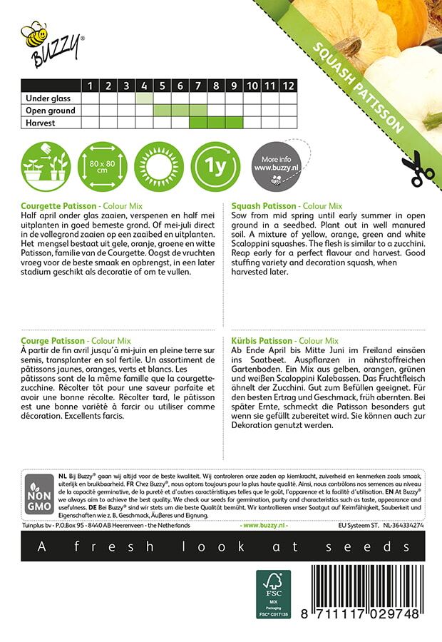 Buzzy-Courgette-Patisson-Colour-mix