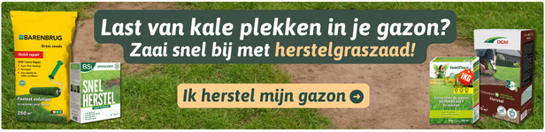 kale plekken in gazon herstellen